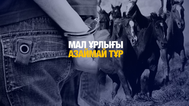 Мал ұрлығы азаймай тұр