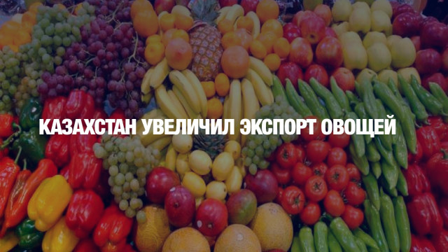 Казахстан увеличил экспорт овощей