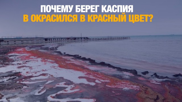 Почему берег Каспия в Актау окрасился в красный цвет?
