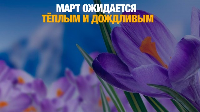 Паводковый период: март ожидается тёплым и дождливым