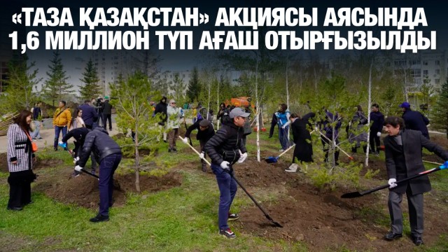 «Таза Қазақстан» акциясы аясында 1,6 миллион түп ағаш отырғызылды