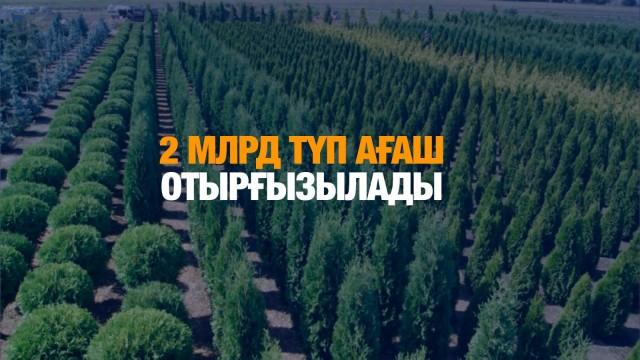 2 млрд түп ағаш отырғызылады