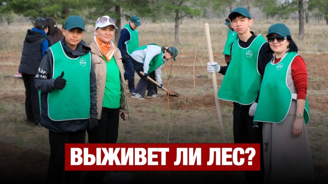 Школы юных лесников открыта в Актюбинской области