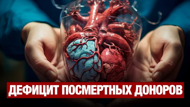 Как сегодня себя чувствуют пациенты первой в Казахстане перекрестной трансплантации почек