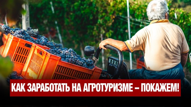 Популярность набирает новый вид отдыха – агротуризм