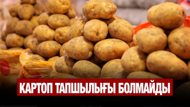 Картоп тапшылығы болмайды