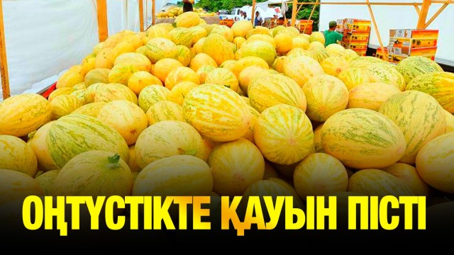 Жаз басталмай жатып қауын пісті