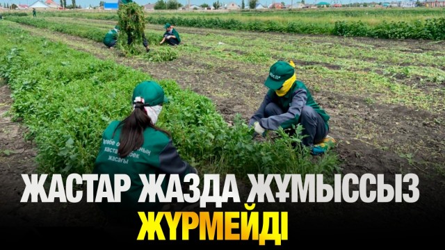 Жастар жазда жұмыссыз жүрмейді