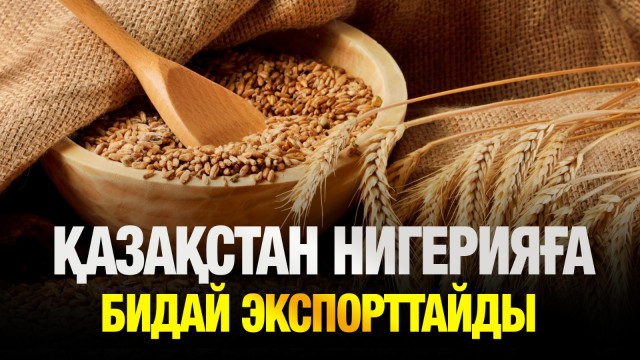 Қазақстан мен Нигерия астық пен сирек металл алмасуға мүдделі