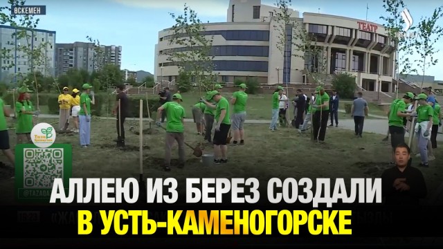 Аллею из берез создали молодые активисты в Усть-Каменогорске