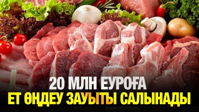 Ет өңдеу зауыты салынады