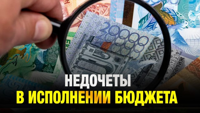 Республиканский бюджет защитили в Мажилисе: какие проблемы вскрылись?