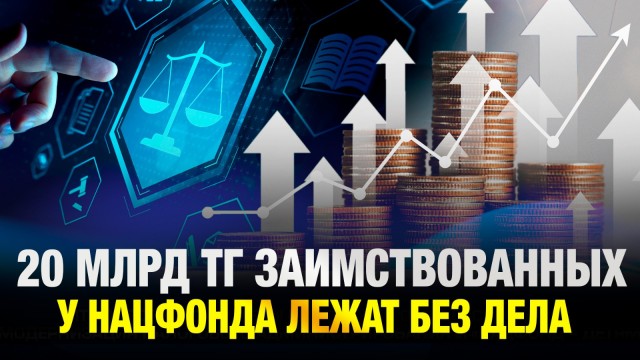 20 млрд тг заимствованных у Нацфонда лежат без дела: о проблеме высказались в Сенате