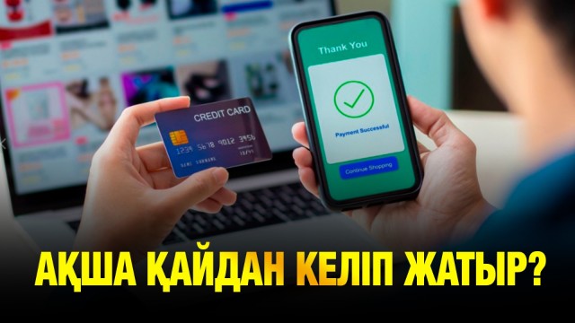 Салық төлеуден жалтарып жүргендердің кірісі тексеріледі