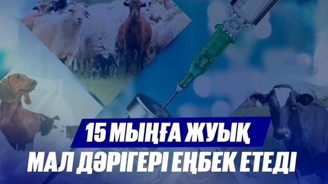 Барлық мал дәрігерлік қызметке көлік берілді