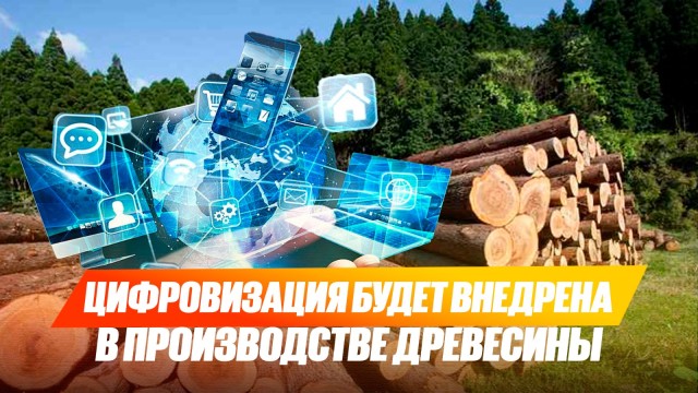 Цифровые технологии против незаконной вырубки деревьев