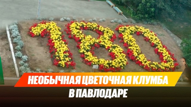 Необычная цветочная клумба в Павлодаре