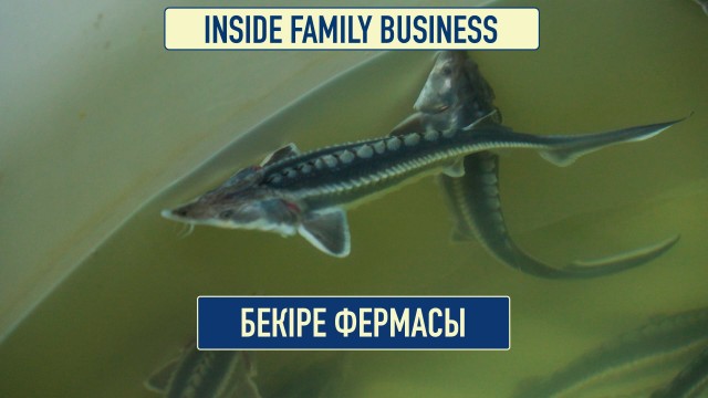 Балық шаруашылығы: табысты еселеудің тиімді жолы