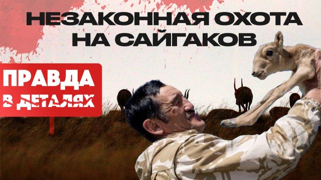 От браконьерства до нападения на инспекторов