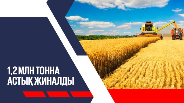 Терім науқаны: 1,2 млн тонна астық жиналып қойды