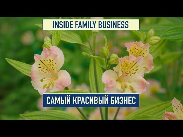 Прибыльный ли цветочный бизнес?