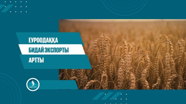 Еуроодаққа бидай экспорты артты