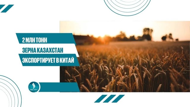 Главные новости 02.09.2025 г.