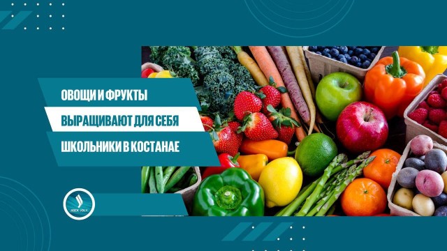 Овощи и фрукты выращивают для себя школьники в Костанае