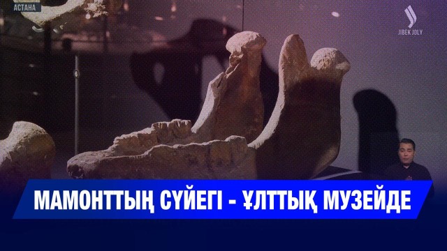Ақмола облысында мамонт сүйегі табылды
