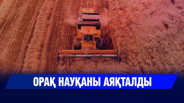 ЖАҢАЛЫҚТАР 04.11.2025