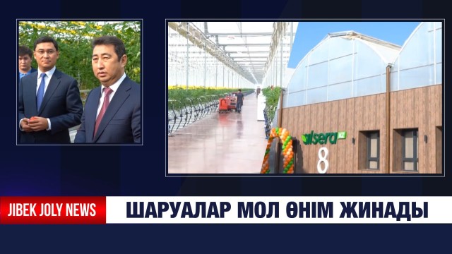 Шаруалар мол өнім жинады
