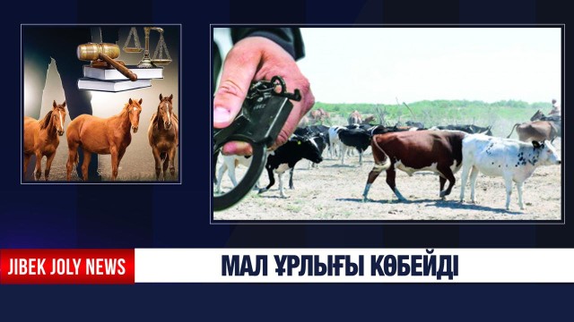 Полиция 113 барымташыны қамауға алды