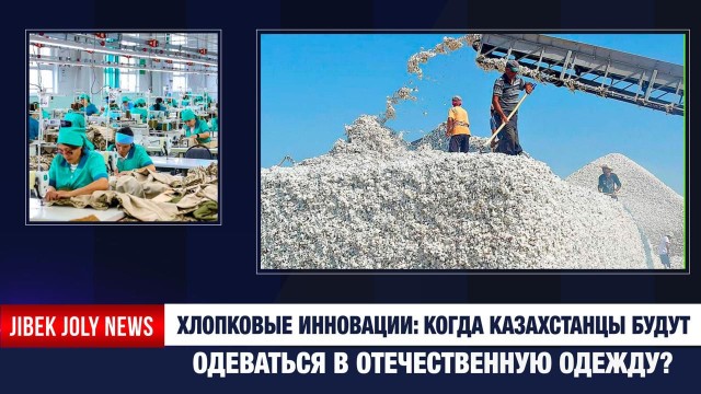 Туркестан собирает большой урожай хлопка