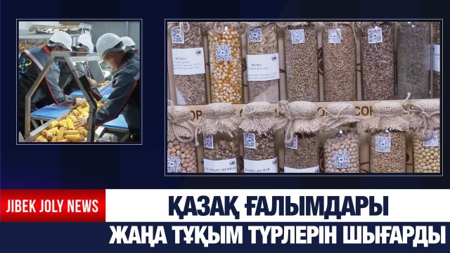 Қазақ ғалымдары жаңа тұқым түрлерін шығарды