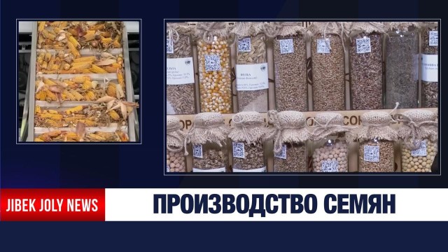 Новый этап развития семенного производства