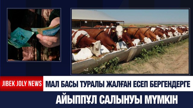 Мал басы туралы жалған есеп бергендерге айыппұл салынуы мүмкін