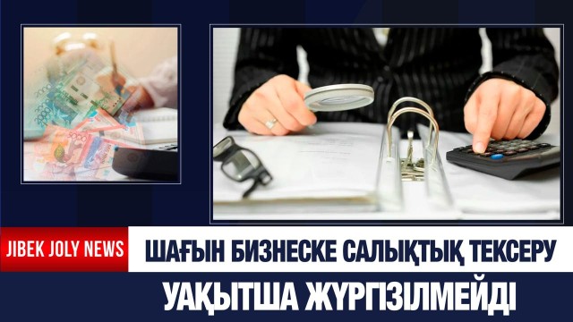Шағын бизнеске салықтық тексеру уақытша жүргізілмейді