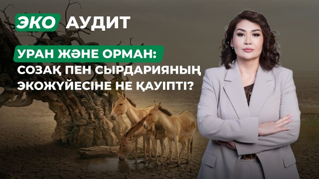 Сырдария өзенінің экожүйесіне қандай қауіп төніп тұр?