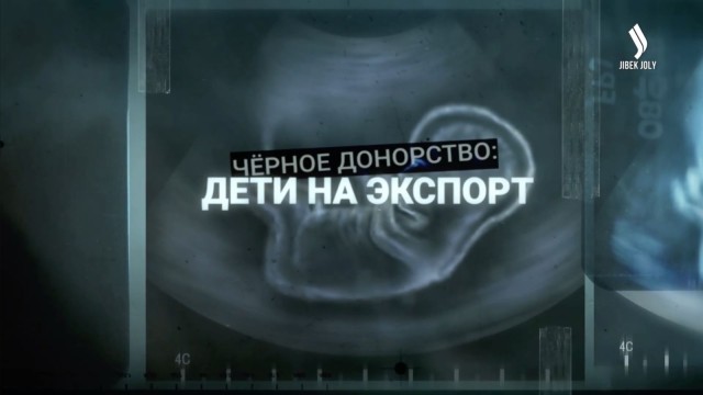 Транснациональная схема: КНБ пресёк незаконное суррогатное донорство