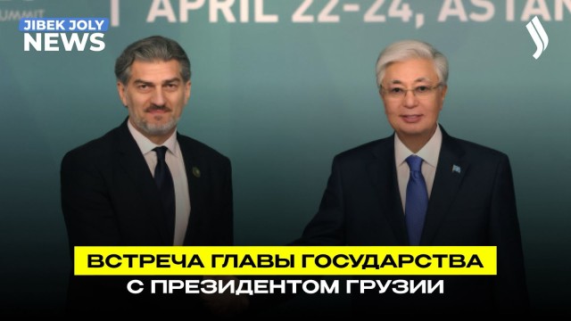 Встреча Главы государства с Президентом Грузии