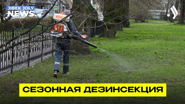Лето без насекомых: началась масштабная обработка территорий