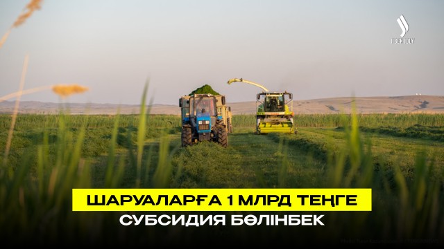 Шаруаларға субсидия үшін 1 млрд теңге бөлінбек