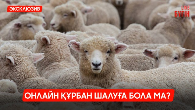 Онлайн құрбан шалуға бола ма?