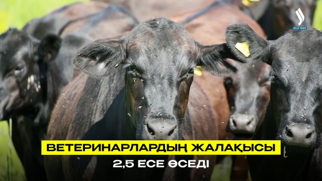 Ветеринарлардың жалақысы 2,5 есеге дейін өседі