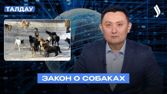 Закон о собаках: за и против