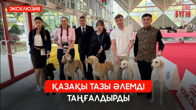Дәрі жасауды 100 есе жылдамдататын жасанды интеллект