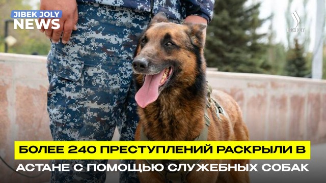 Четвероногие напарники