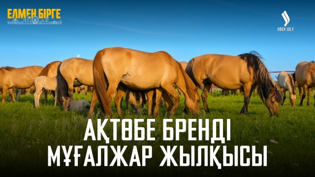 Ақтөбе балмұздағының сұранысы неліктен жоғары?