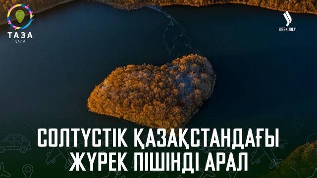 Жылқы алғаш қолға үйретілген жер қайда?