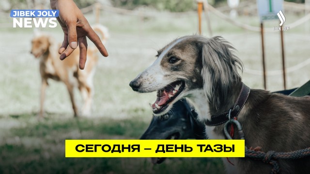 В Казахстане впервые отмечают День тазы